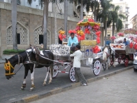 alongside-the-taj-mahal-hotel